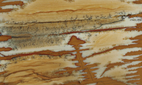 Owyhee Jasper Rock Slab 385