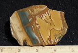 Owyhee Jasper Rock Slab 430