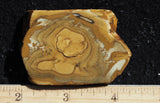 Owyhee Jasper Rock Slab 372