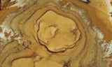 Owyhee Jasper Rock Slab 372