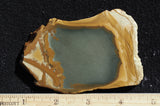 Owyhee Jasper Rock Slab 388