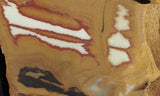 Owyhee Jasper Rock Slab 484