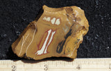 Owyhee Jasper Rock Slab 484