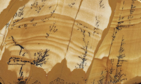 Owyhee Jasper Rock Slab 397
