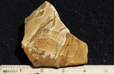 Owyhee Jasper Rock Slab 397