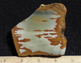 Owyhee Jasper Rock Slab 323