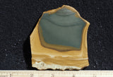 Owyhee Jasper Rock Slab 340
