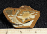 Owyhee Jasper Rock Slab 417