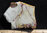 Willow Creek Jasper Rock  Slab 813