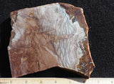 Willow Creek Jasper Rock  Slab 819