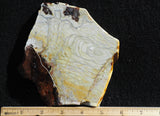 Willow Creek Jasper Rock  Slab 818