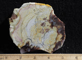 Willow Creek Jasper Rock  Slab 827