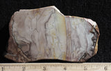 Willow Creek Jasper Rock  Slab 822