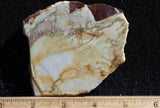 Willow Creek Jasper Rock  Slab 841