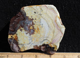 Willow Creek Jasper Rock  Slab 830