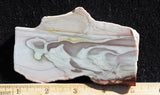 Willow Creek Jasper Rock  Slab 814