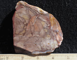 Willow Creek Jasper Rock  Slab 833