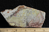 Willow Creek Jasper Rock  Slab 836