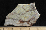 Willow Creek Jasper Rock  Slab 837