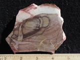 Willow Creek Jasper Rock  Slab 821