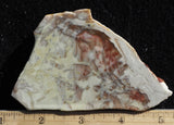 Willow Creek Jasper Rock  Slab 839