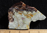 Willow Creek Jasper Rock  Slab 851