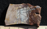 Willow Creek Jasper Rock  Slab 816