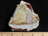 Willow Creek Jasper Rock  Slab 859