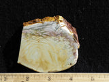 Willow Creek Jasper Rock  Slab 832