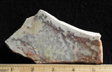 Willow Creek Jasper Rock  Slab 844