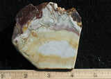 Willow Creek Jasper Rock  Slab 843