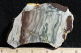 Willow Creek Jasper Rock  Slab 815