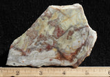 Willow Creek Jasper Rock  Slab 845