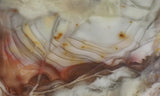 Willow Creek Jasper Rock  Slab 845