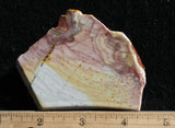 Willow Creek Jasper Rock  Slab 840