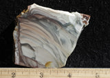 Willow Creek Jasper Rock  Slab 826