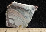 Willow Creek Jasper Rock  Slab 826