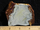 Willow Creek Jasper Rock  Slab 862