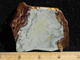 Willow Creek Jasper Rock  Slab 862