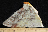 Willow Creek Jasper Rock  Slab 849