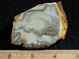 Willow Creek Jasper Rock  Slab 854