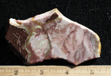 Willow Creek Jasper Rock  Slab 865