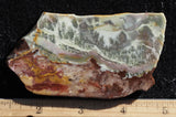 Willow Creek Jasper Rock  Slab 828