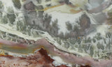 Willow Creek Jasper Rock  Slab 828