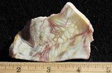 Willow Creek Jasper Rock  Slab 811