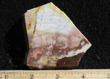 Willow Creek Jasper Rock  Slab 857