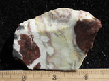 Willow Creek Jasper Rock  Slab 855