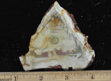 Willow Creek Jasper Rock  Slab 866