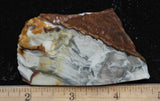 Willow Creek Jasper Rock  Slab 860