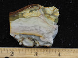 Willow Creek Jasper Rock  Slab 867